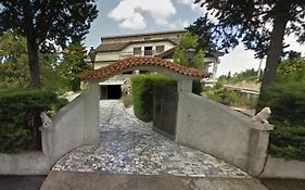 Pinheirinhos - Quinta de São Caetano