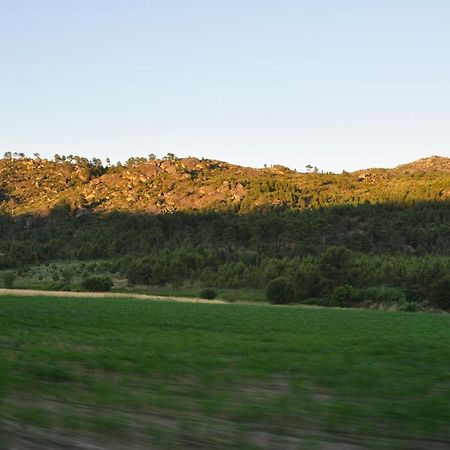 Pinheirinhos - Quinta de São Caetano Vila Carapito Exterior foto