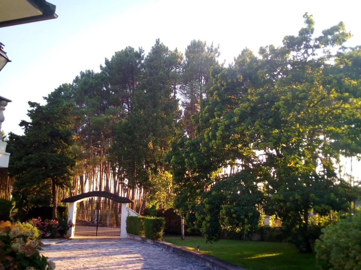 Pinheirinhos - Quinta de São Caetano Vila Carapito Exterior foto