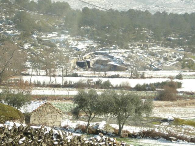 Pinheirinhos - Quinta de São Caetano Vila Carapito Exterior foto