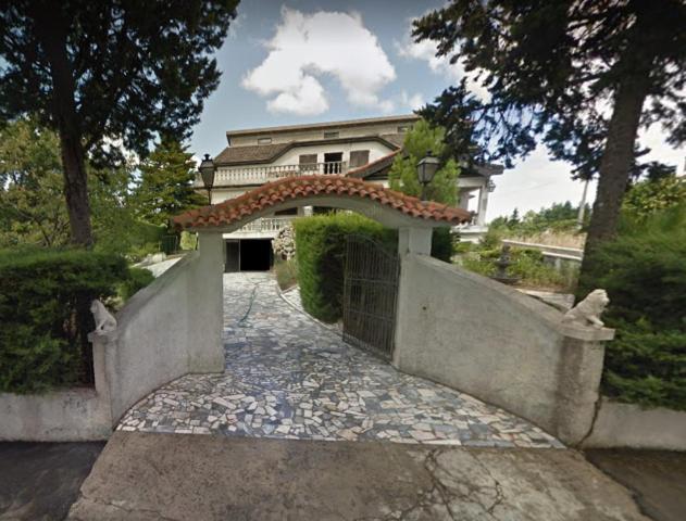 Pinheirinhos - Quinta de São Caetano Vila Carapito Exterior foto