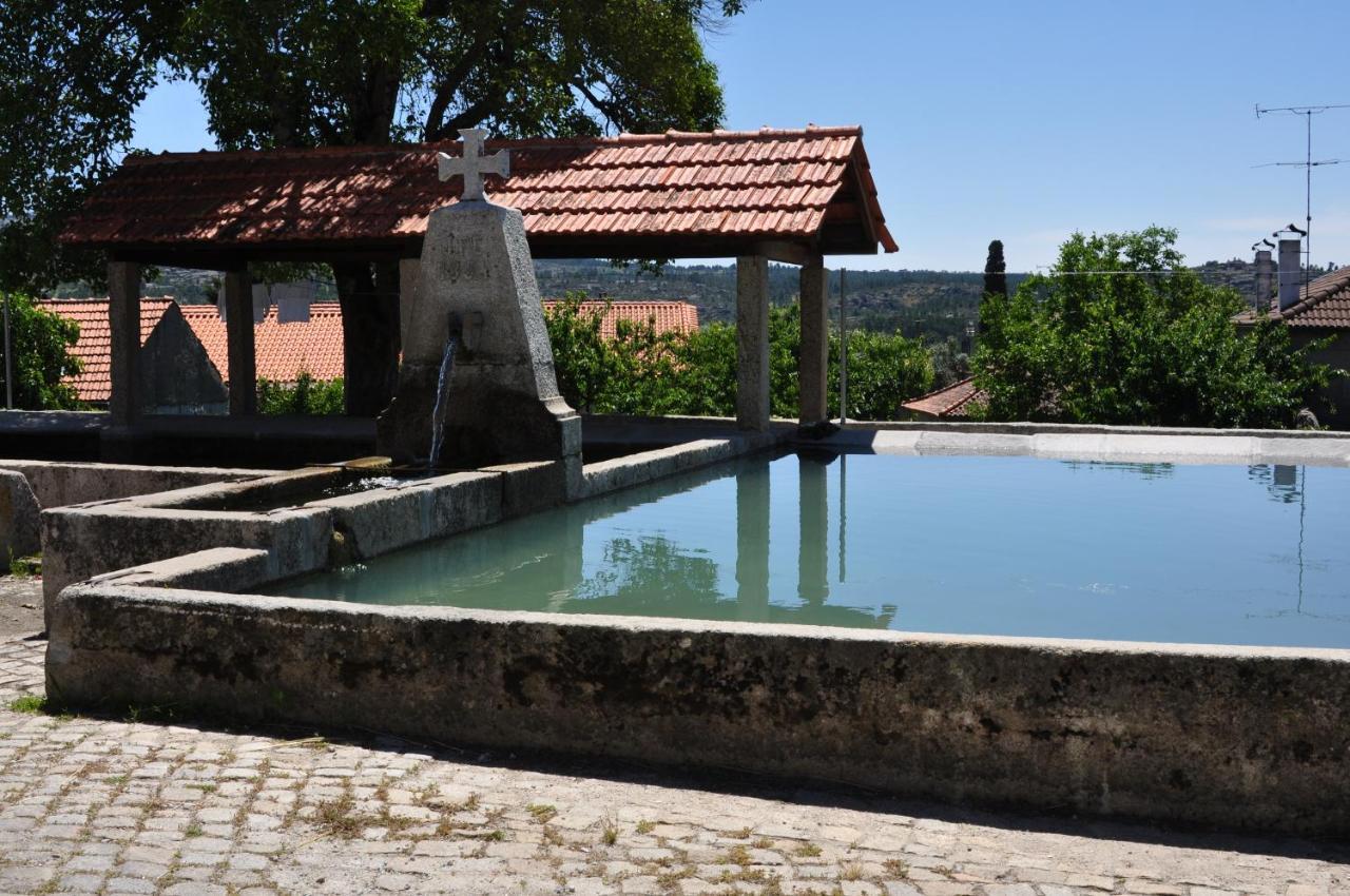 Pinheirinhos - Quinta de São Caetano Vila Carapito Exterior foto
