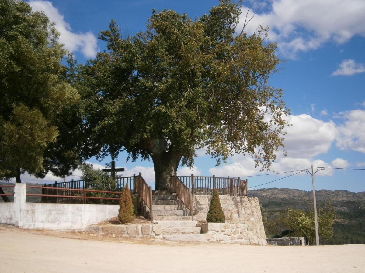 Pinheirinhos - Quinta de São Caetano Vila Carapito Exterior foto