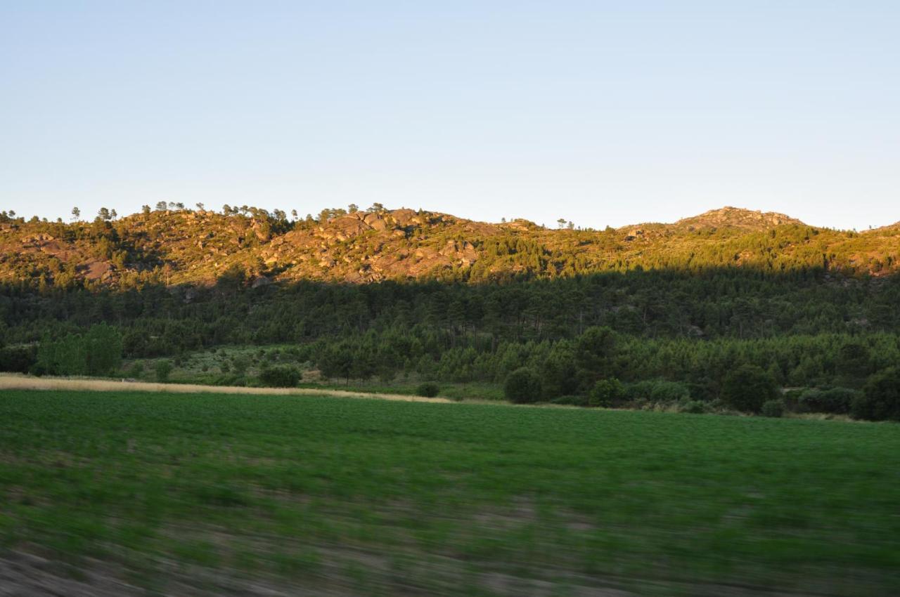 Pinheirinhos - Quinta de São Caetano Vila Carapito Exterior foto