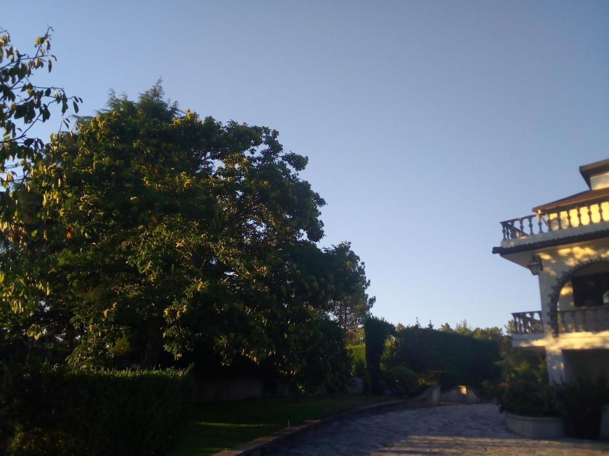 Pinheirinhos - Quinta de São Caetano Vila Carapito Exterior foto