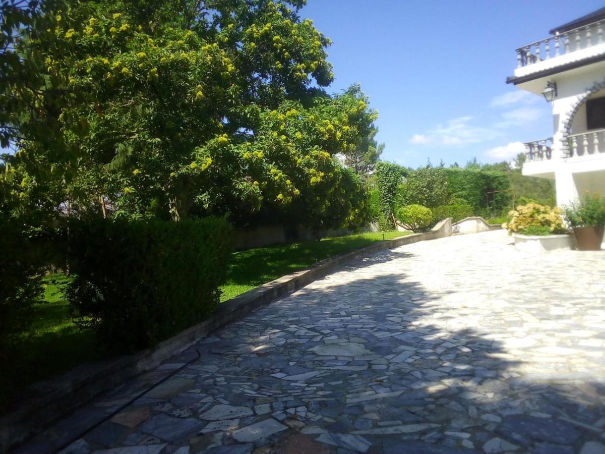 Pinheirinhos - Quinta de São Caetano Vila Carapito Exterior foto